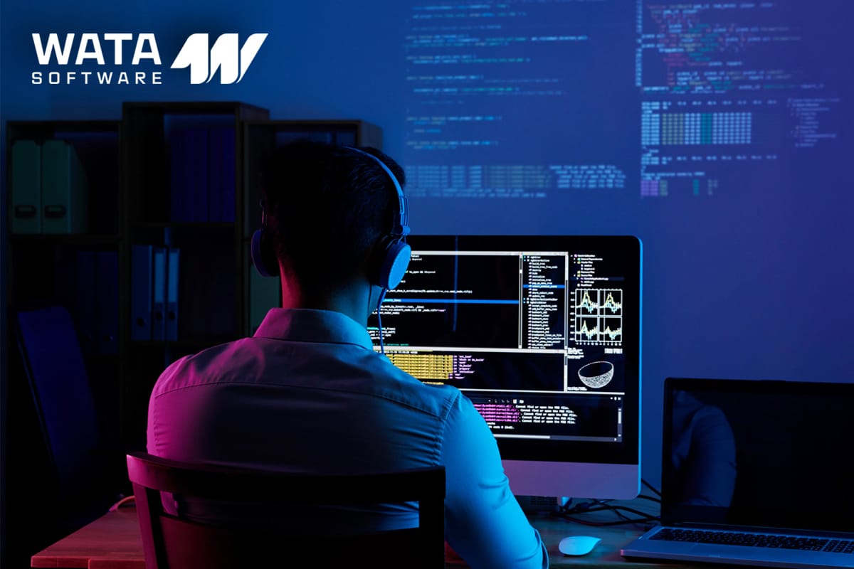 What is Offshore Software Services?