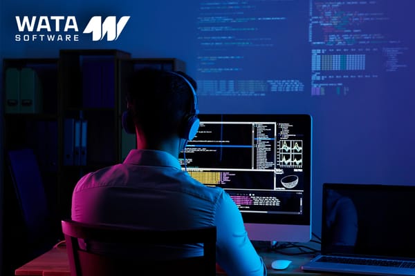 What is Offshore Software Services?